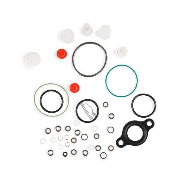 China Made New F01M101456 Common Rail Diesel Fuel Pump Repair Kit For CP1 Series Pump